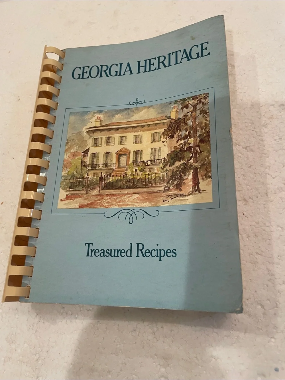 Vintage georgia heritage